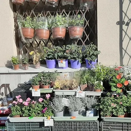 Mamas & Papas * グダニスク