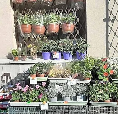 Hostel Mamas & Papas Gdańsk