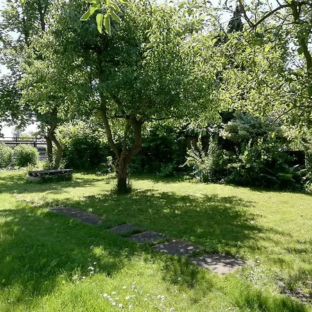 Mamas & Papas ホステル グダニスク