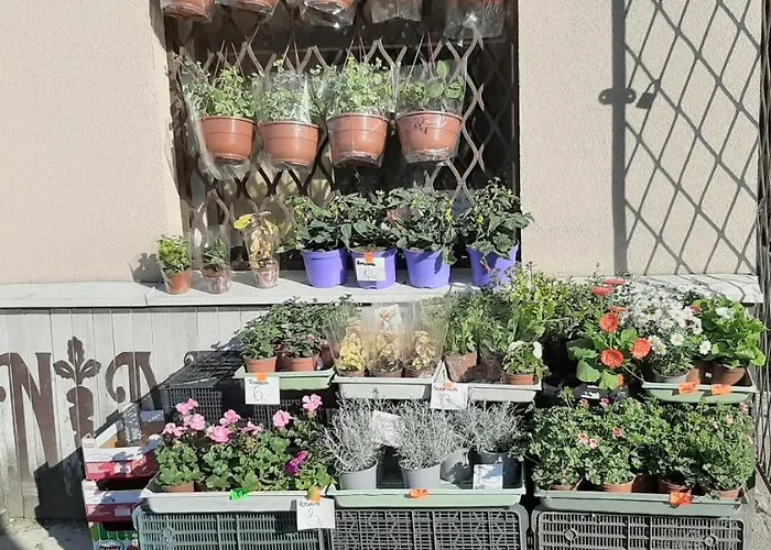 Mamas & Papas * Gdansk