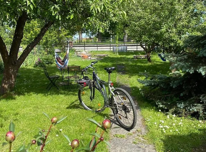 Hostel Mamas & Papas